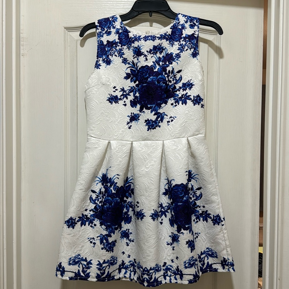 Blue White Floral Dress